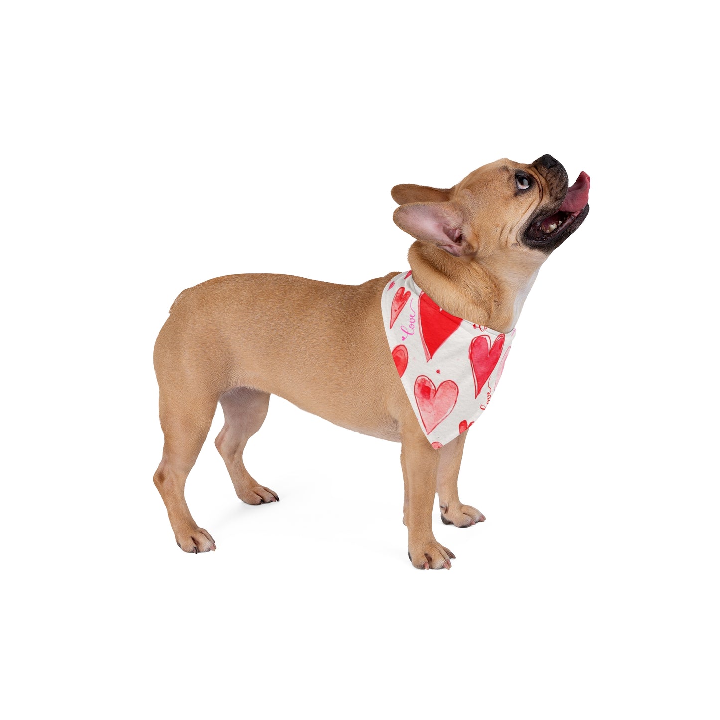 Valentine Hearts Pet Bandana — Pink Watercolor Love Scarf for Dogs & Cats